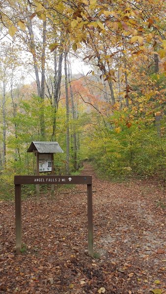 Angel Falls Rapid Trail trailhead in the fall.