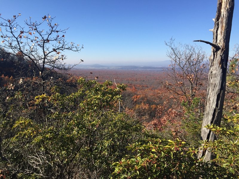 Fall colors still lingering on the Furnace Mt trail