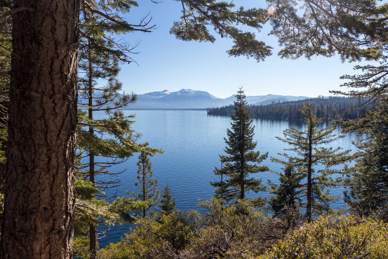 Lake Tahoe through the lush green on Rubicon Trail