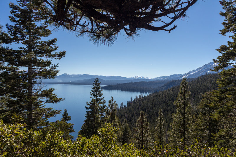 Foresty shore of Lake Tahoe from D.L. Bliss State Park