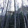 View through the trees off the rock garden trail looking up to lovers leap