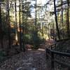 Original Trail up to Natural Bridge