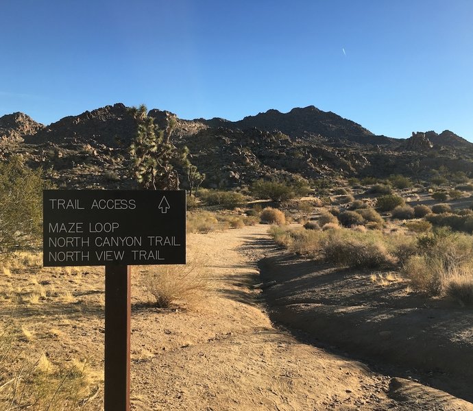 Trailhead sign at the parking area on Park Blvd in Joshua Tree National Park.