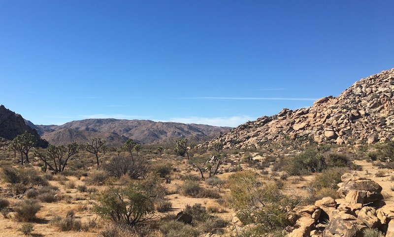 Looking south from Maze Loop trail.