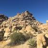 View from Maze Loop trail.