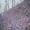 The Mingus Creek Trail is narrow in places, and can be covered in leaves in the Fall, as shown in this photo.