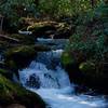 Mingus Creek runs alongside the trail, providing great opportunities to see small cascades as the creek makes its way down toward the Oconaluftee River.