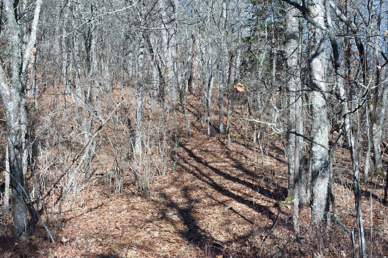 The trail can appear to be lost in the leaves in the fall.  The leaves are dry up on the ridgelines.