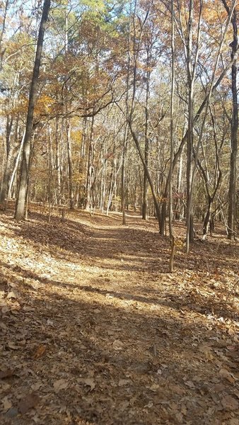 Raven Rock Loop