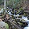 Leconte Creek flows along the mill, providing power to the mill. You can see the log used to divert water from the creek into the mill.