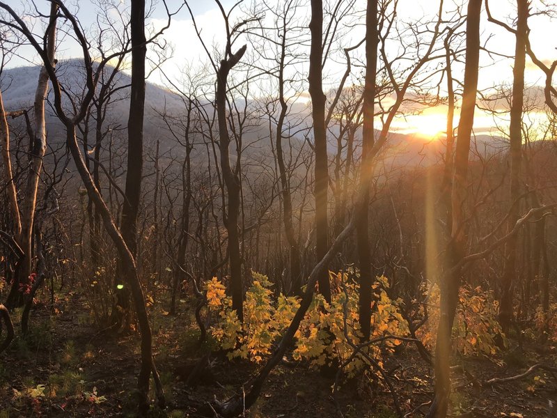 The sun sets over the mountains and through the trees along Baskins Creek Trail.