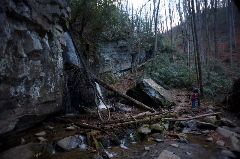 You have to hike down and cross the small creek to see the Falls.  No great swimming, but a nice Smokies waterfall all the same.