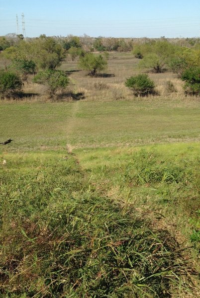 Reddleshire Extension from the top of the Addicks Dam.  This trace leads directly to creekbed that rarely dries up.