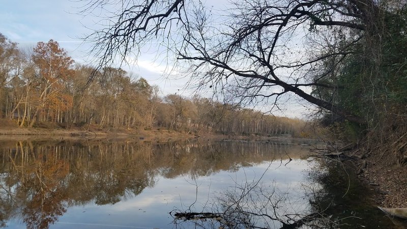 View of the Cape Fear River