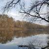 View of the Cape Fear River