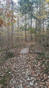 Bridge on the trail