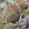 A dramatic waterfall after winter rains on Mount Diablo's Falls Trail