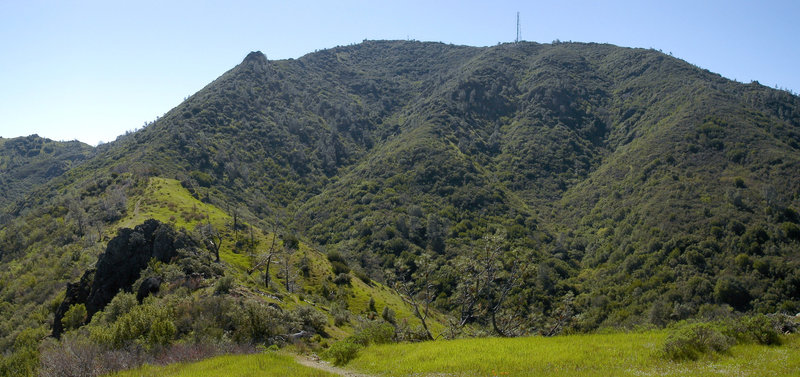 Looking up toward Mount Diablo from Bald Ridge Trail