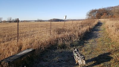 Field