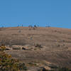 The top of Enchanted Rock can get rather crowded