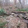 The trail crosses small creeks at several places