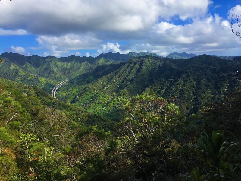 Aiea Loop Trail