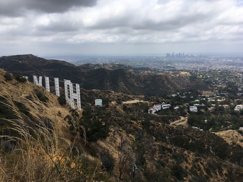 Hollywood Sign