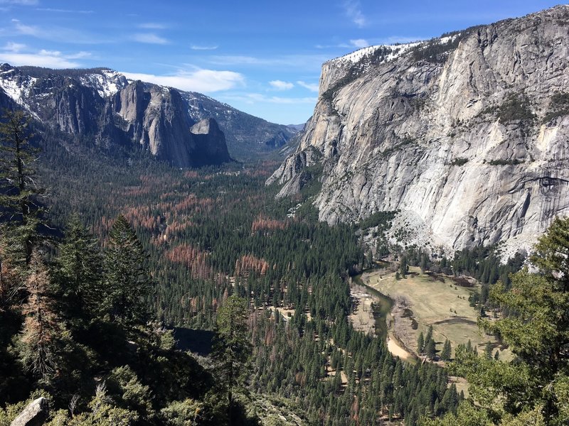 View from the Four Mike Trail