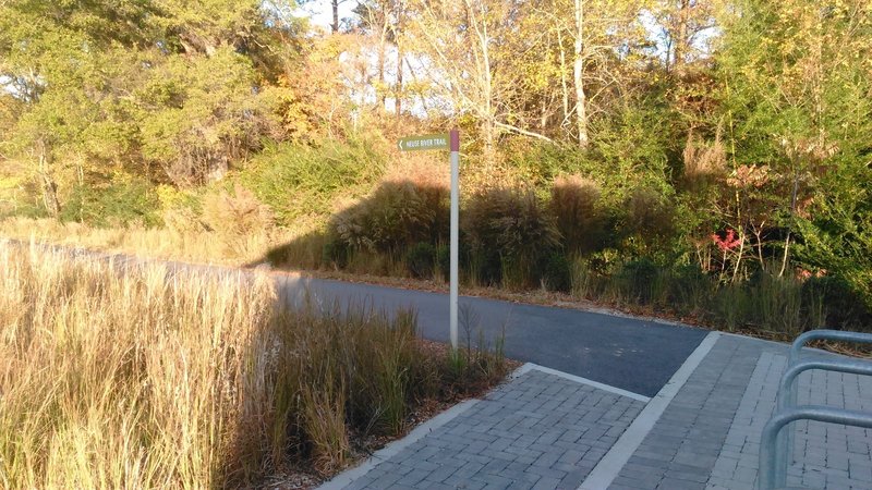 Neuse River Trailhead