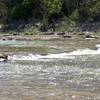 Paluxy River rapids along the trail