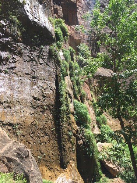 Sidewalls leading to the Narrows