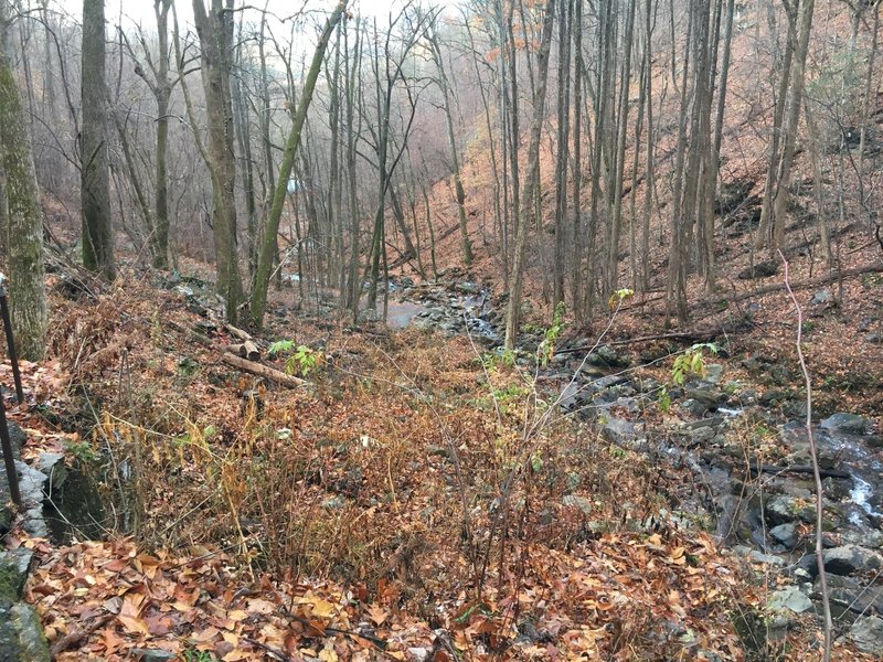 View down Little Amicalola Creek to the Reflecting Pond