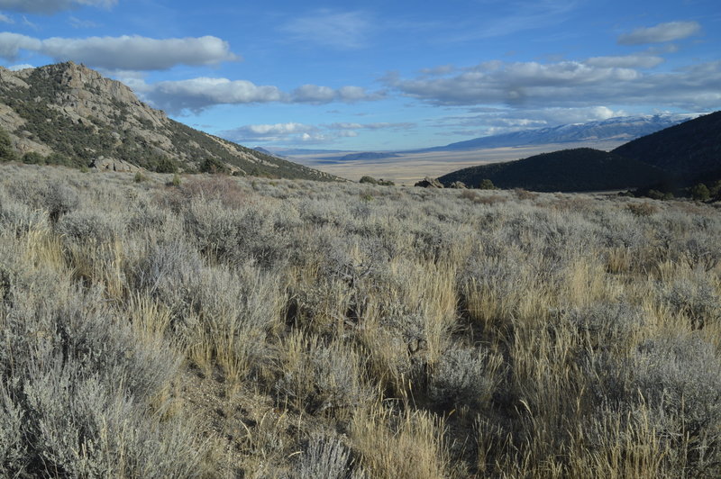 Albion valley from Circle Creek Overlook