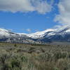 Looking north from the trail at Cache Peak and Mt Harrison