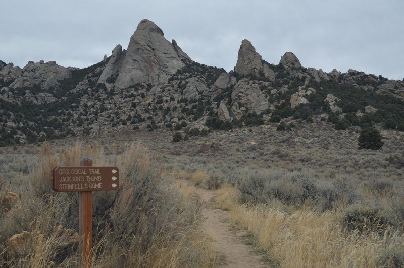 Trail Split from Geo Watt Trail