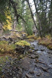 Big Falls Creek at Trailhead