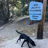 Timber starting the South Ridge Trail.
