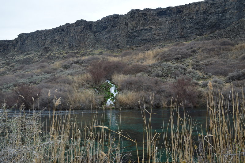 One of the many waterfalls (springs) along the canyon floor