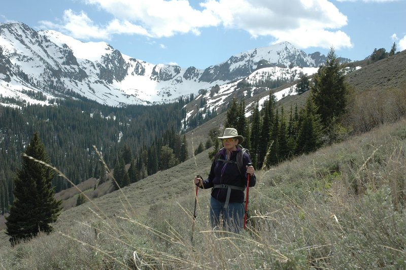 Iron Bog Lake Out-and-Back Hiking Trail, Arco, Idaho