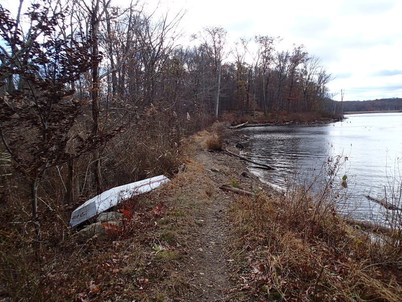 Timberbrook Pond