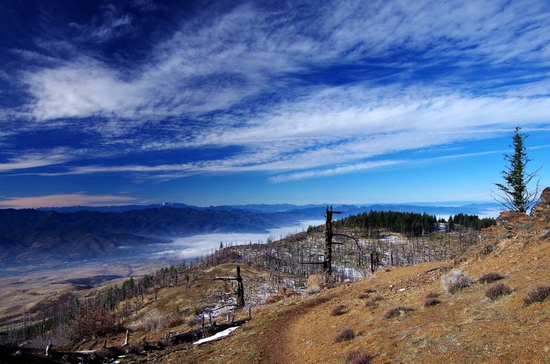 Grayback Mountain (on the far horizon) from near Grizzly's highest viewpoint