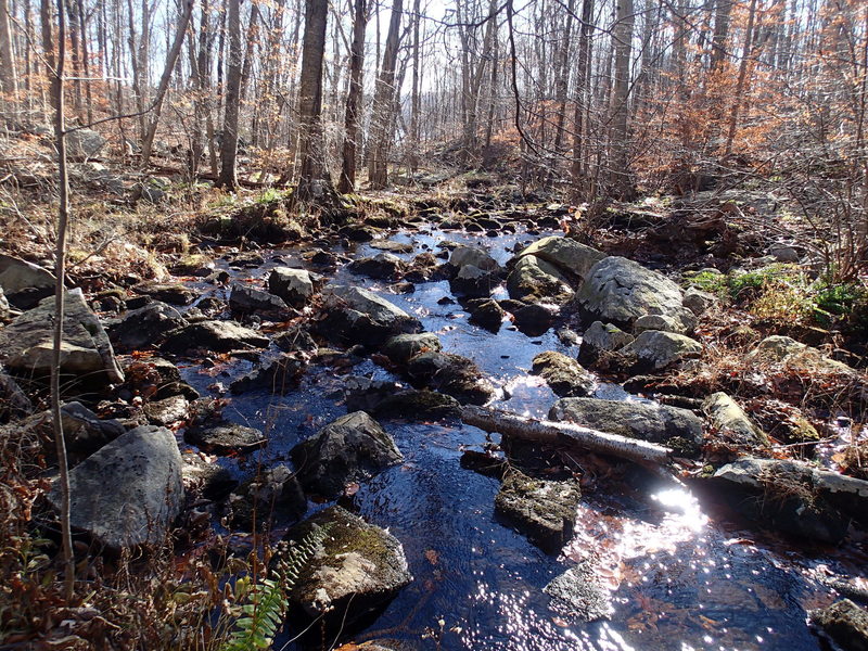 Four Birds Trail stream crossing