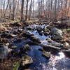 Four Birds Trail stream crossing