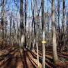 Trail junction with Four Birds Trail and Split Rock Trail