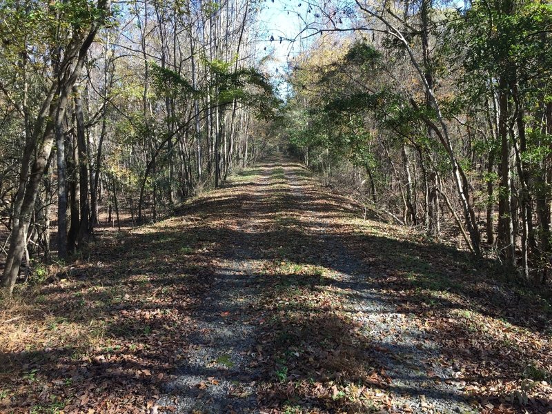 Rails to trails through the swamp.