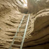 Large Ladder in Ladder Canyon