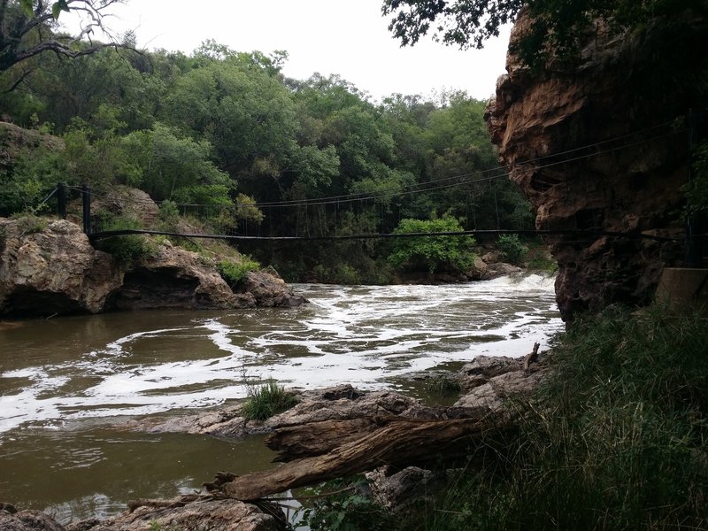 A view of the Krokodilberg trail hanging bridge.