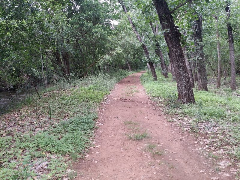 A view of the Krokodilberg trail starting path.