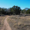 A typical scene along the Pack Trail