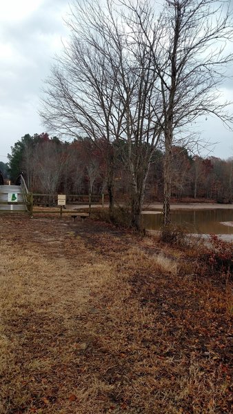 Bench by Little Lick Creek Bridge